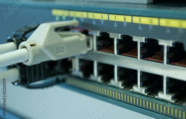 Obraz netzwerkstecker an server