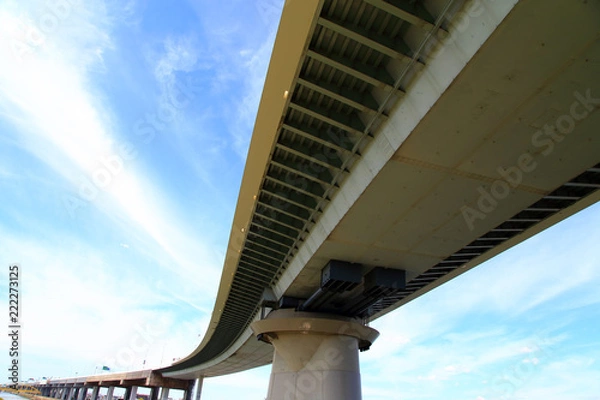 Fototapeta Katsushika Harp Bridge