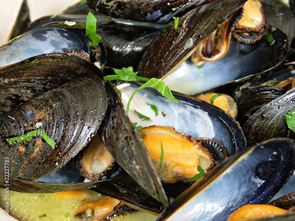 Fototapeta Steamed Mussels