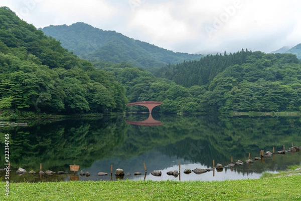 Fototapeta 霧緑の鏡面橋