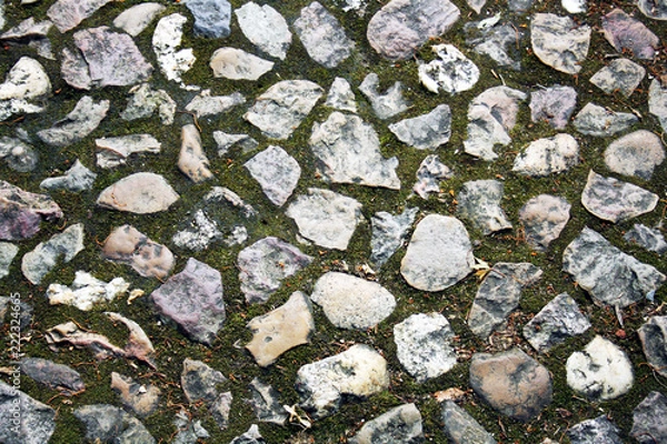 Obraz Into the ground