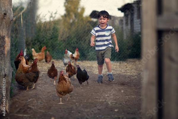 Fototapeta boy running on the yard with hens