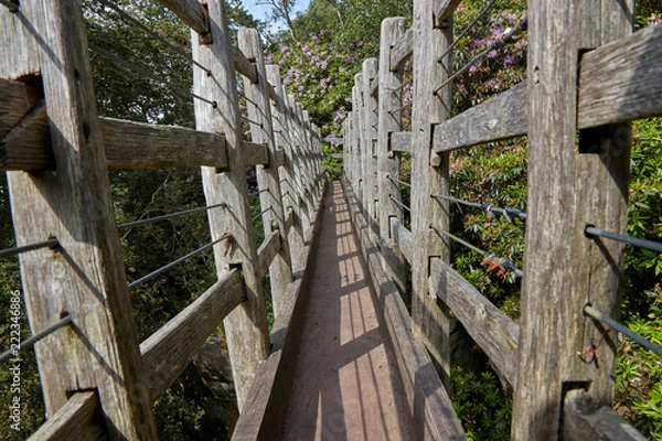 Obraz The wooden bridge across the gorge.