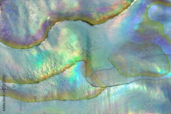 Obraz mother of pearl texture background