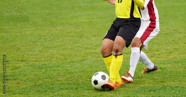 Fototapeta サッカー　フットボール