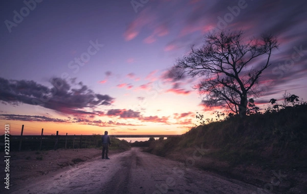 Fototapeta watching the sunset