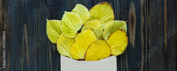 Fototapeta Autumn banners with leaves in the envelope. change season, autumn concept