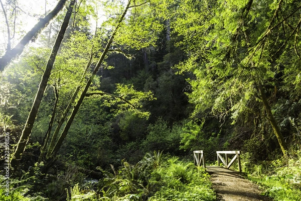 Obraz Nature Delight