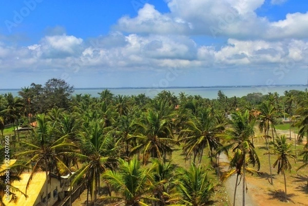 Fototapeta OmarSDaba