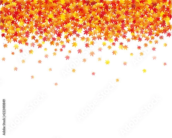 Fototapeta 紅葉　背景