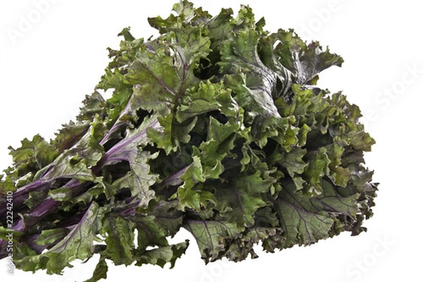 Obraz Red Kale