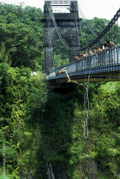 Obraz saut à l'élastique