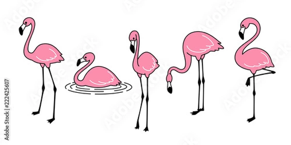 Fototapeta Cartoon pink flamingo vector set Cute flamingos collection Flamingo character animal exotic nature wild fauna illustration doodle