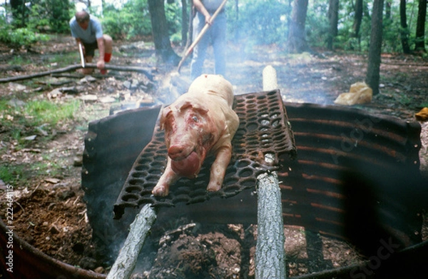 Obraz Pig Roast