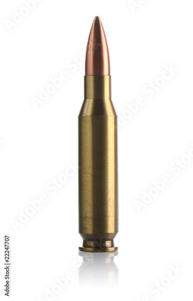 Obraz Full metal jacket bullet