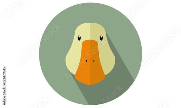 Fototapeta Duck head vector flat isolated icon- illustration for web and mobile