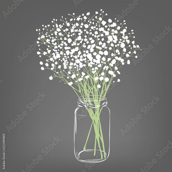 Fototapeta White flowers bouquet. Gypsophila flowers. Transparent clear glass jar. Grey background. Vector Illustration.