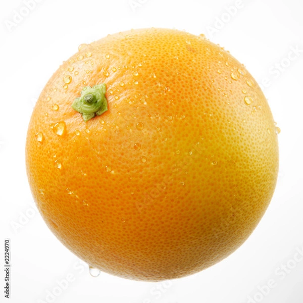 Obraz grejpfrut