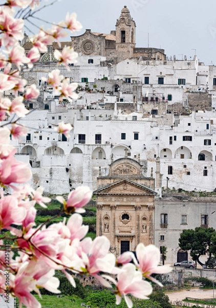 Obraz ostuni