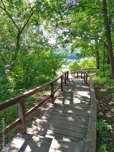 Obraz The solar bridge.