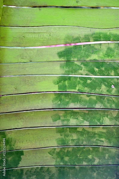Obraz Grüne Wand aus Holzbrettern