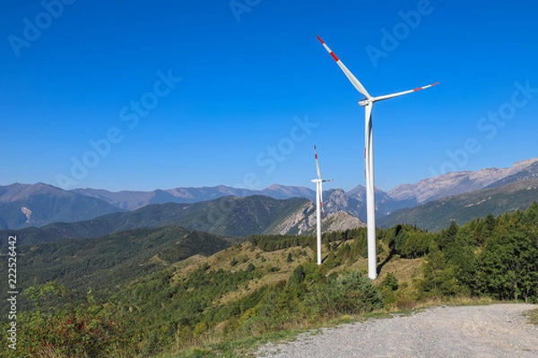 Fototapeta Pale eoliche