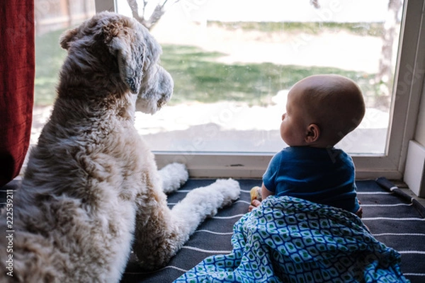 Obraz Dog and Baby Looking Out Window