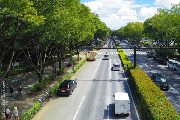 Obraz 東京、代々木、表参道と信号機