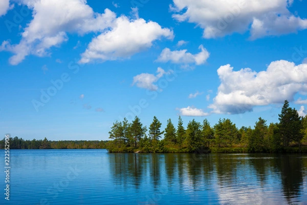 Fototapeta Pine trees reflecting in the lake