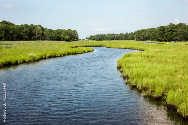 Obraz stream through salt marsh