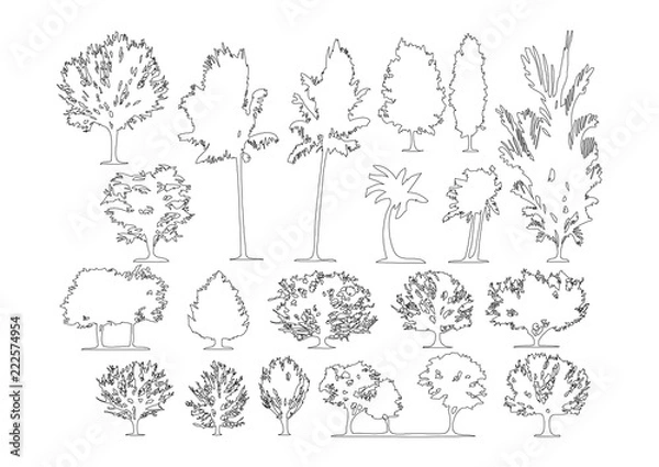 Obraz Zestaw bocznych widoków graficznych drzew elementów konspektu symbol do projektowania architektury i krajobrazu. Ilustracji wektorowych