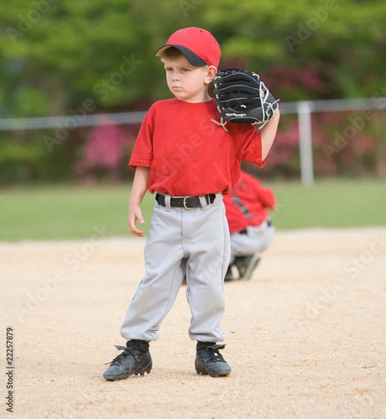 Obraz Little League Baseball Player