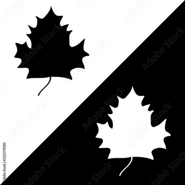Obraz Maple leaf black white silhouette sign set 5.08