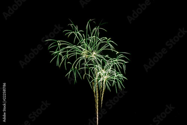 Obraz Color full fireworks, Fireworks, Fireworks on black background