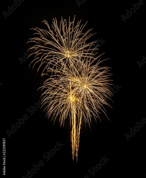 Obraz Color full fireworks, Fireworks, Fireworks on black background