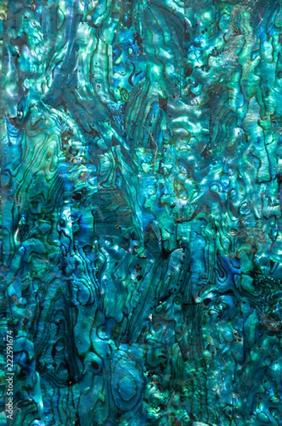 Fototapeta Iridescent blue and green paua, abalone, shell pattern.