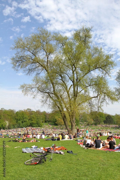 Fototapeta Chillen im Park