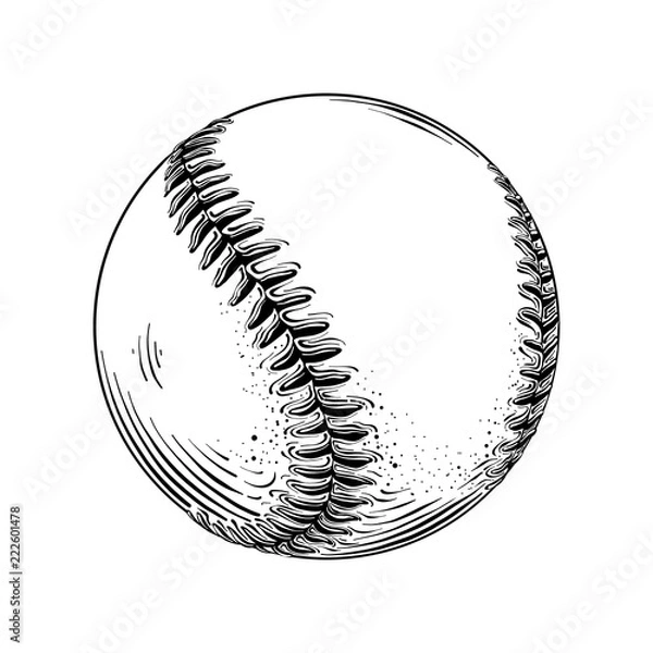 Fototapeta Hand drawn sketch of baseball ball in black isolated on white background. Detailed vintage style drawing. Vector illustration