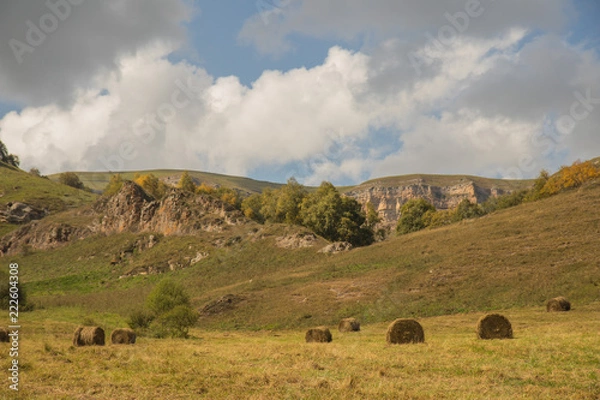 Fototapeta Beautiful landscape with straw bales in the autumn in mountains