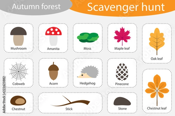 Obraz Scavenger hunt, autumn forest, different colorful autumn pictures for children, fun education search game for kids, development for toddlers, preschool activity, set of icons, vector illustration