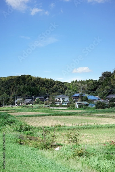 Fototapeta 田園風景