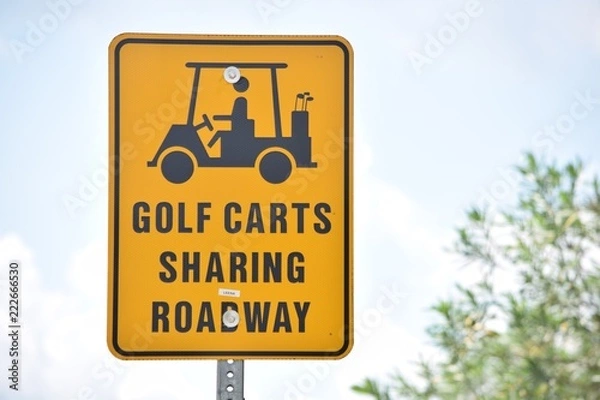 Obraz Golf Carts Sharing Road Way