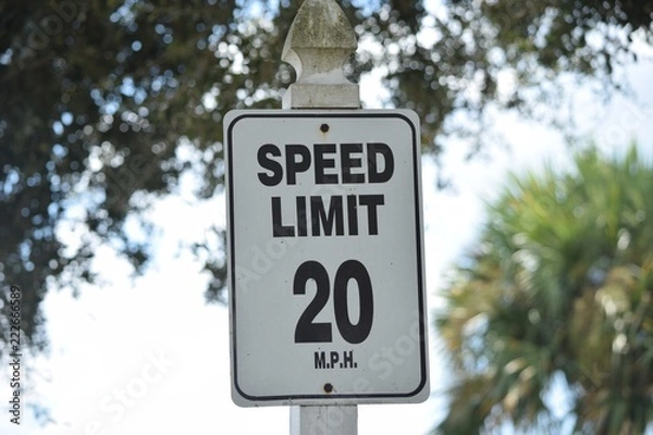 Obraz Speed Limit 20