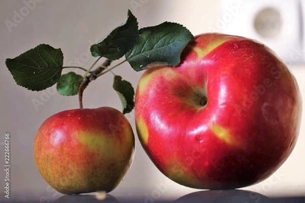 Fototapeta Two ripe red apples lying on a table
