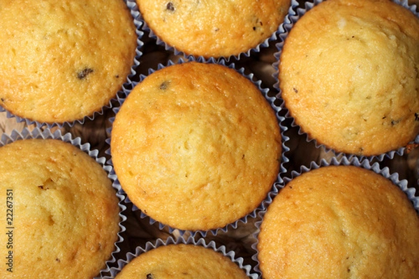 Fototapeta muffins - breakfast