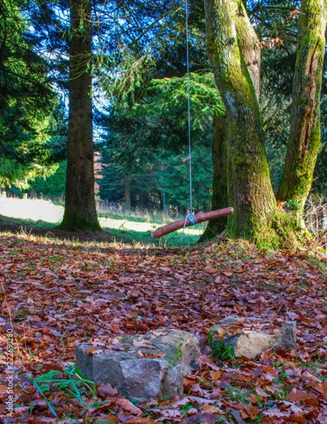 Obraz Swing in the woods