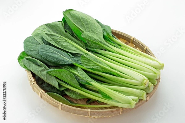 Fototapeta こまつな