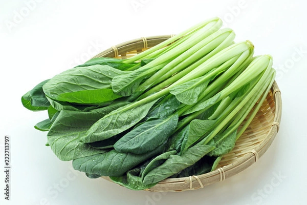 Fototapeta こまつな