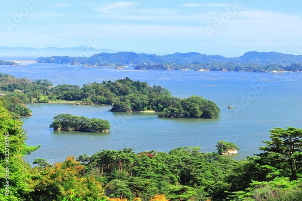 Fototapeta 初秋の松島