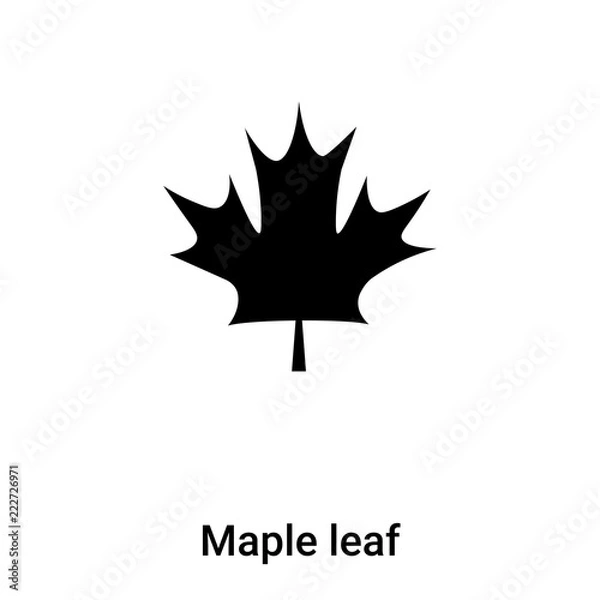 Fototapeta Maple leaf icon vector isolated on white background, logo concept of Maple leaf sign on transparent background, black filled symbol
